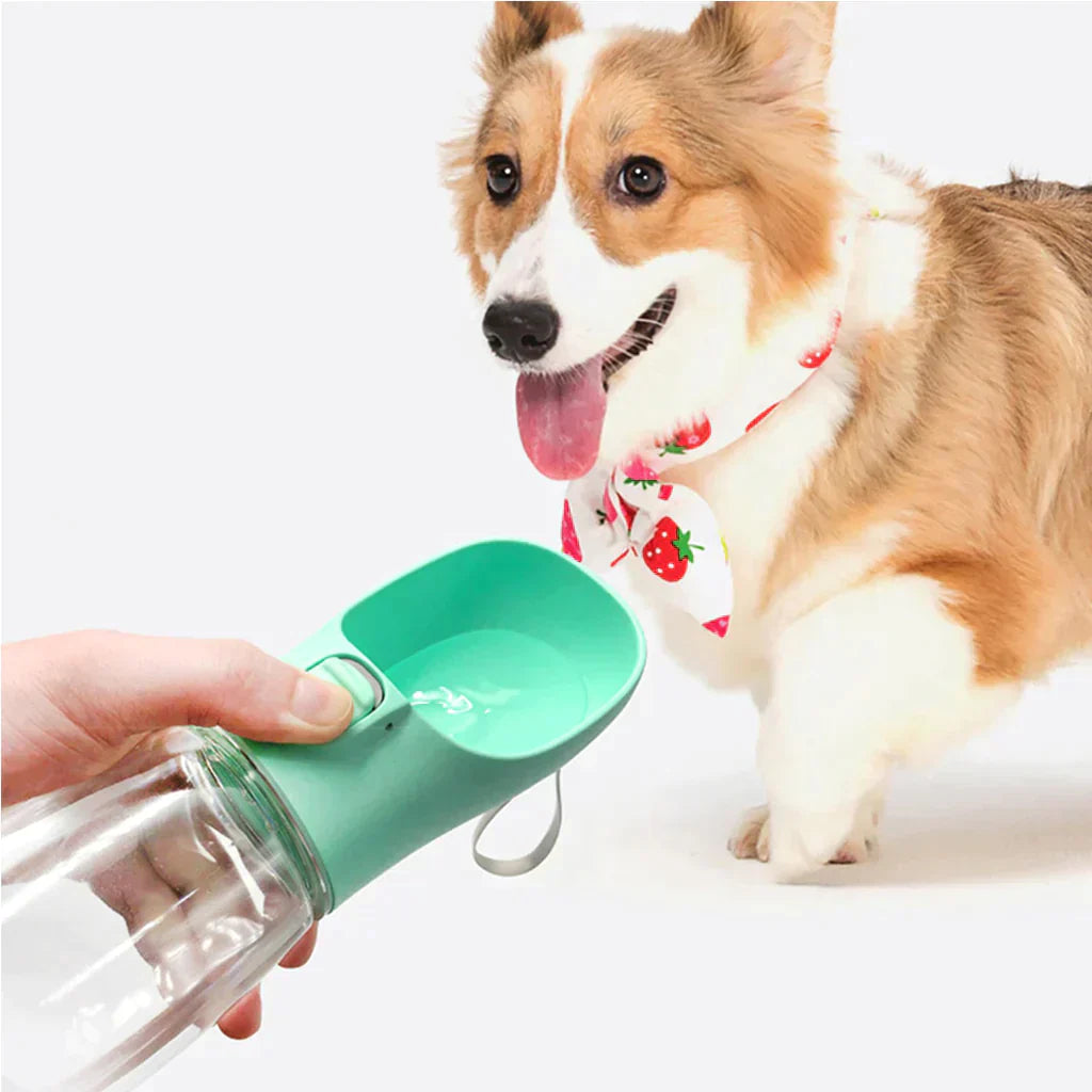 Portable Water Bottle for Pets (Multicolor)